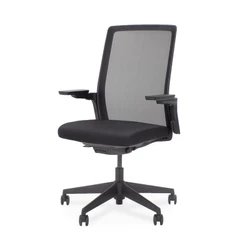 Ergonomische bureaustoel Flex Ergo