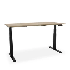 Elektrisch zit-sta bureau Essential NPR