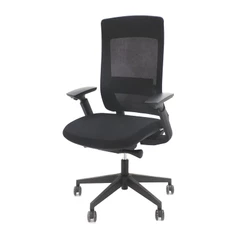 Ergonomische bureaustoel Pro X 