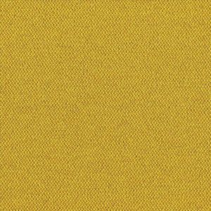 Mustard CSE32