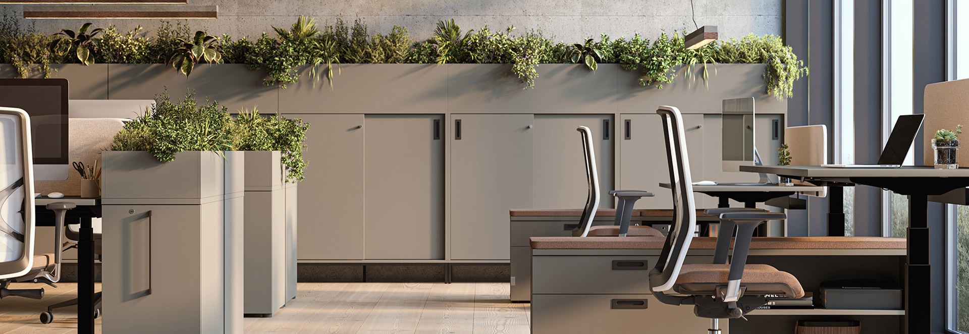 Dit is waarom planten op kantoor bijdragen aan een fijne werkplek